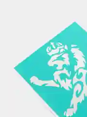 Терракотовый хна для тату / Трафарет / Многоразовые Трафареты для временных тату хной