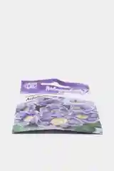 Глоксиния Ликование (семена,цветы)