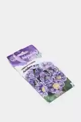 Глоксиния Ликование (семена,цветы)