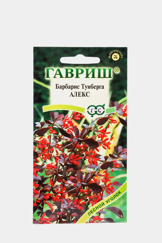 Барбарис Алекс (семена,цветы)