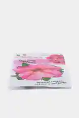 Петуния Дольче Фраголино (семена,цветы)