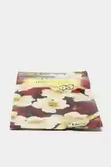 Семена настурция "День и ночь"
