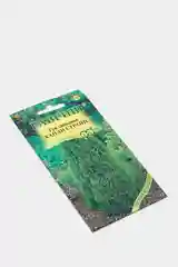 Туя западная Канди страйп (семена лесной уголок)