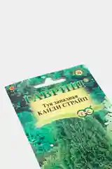 Туя западная Канди страйп (семена лесной уголок)