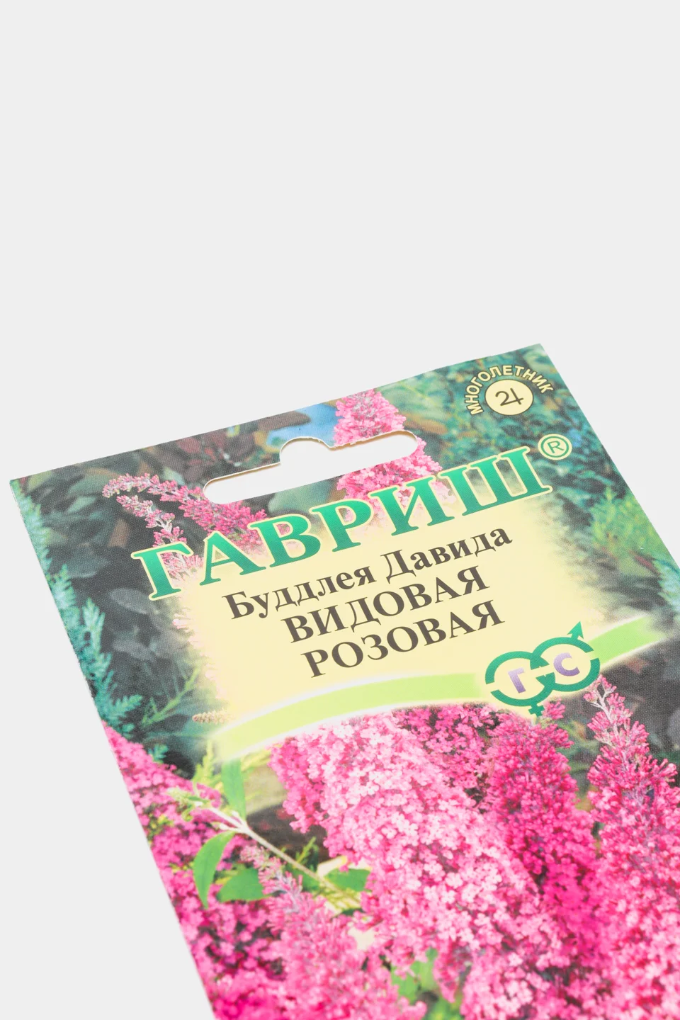Буддлея Видовая розовая, семена, цветы