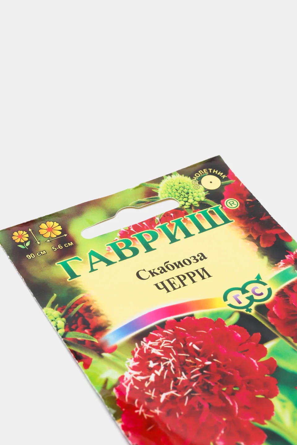 Семена цветов Скабиоза "Черри"