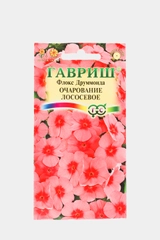 Флокс Очарование лососевое (семена,цветы)