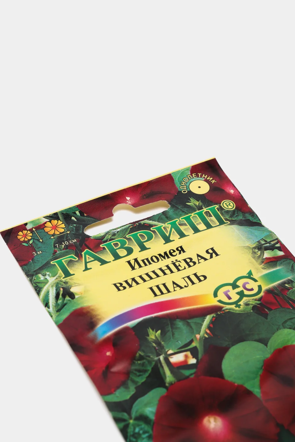 Ипомея Вишневая шаль (семена,цветы)
