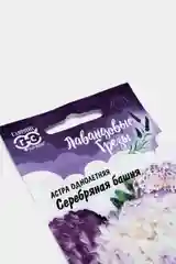 Астра Серебряная башня (семена,цветы)