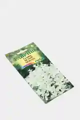 Сальвия Белый монарх (семена,цветы)