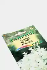 Сальвия Белый монарх (семена,цветы)