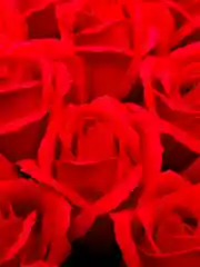 Красный мыльные розы цвета Шоколад, 50 штук