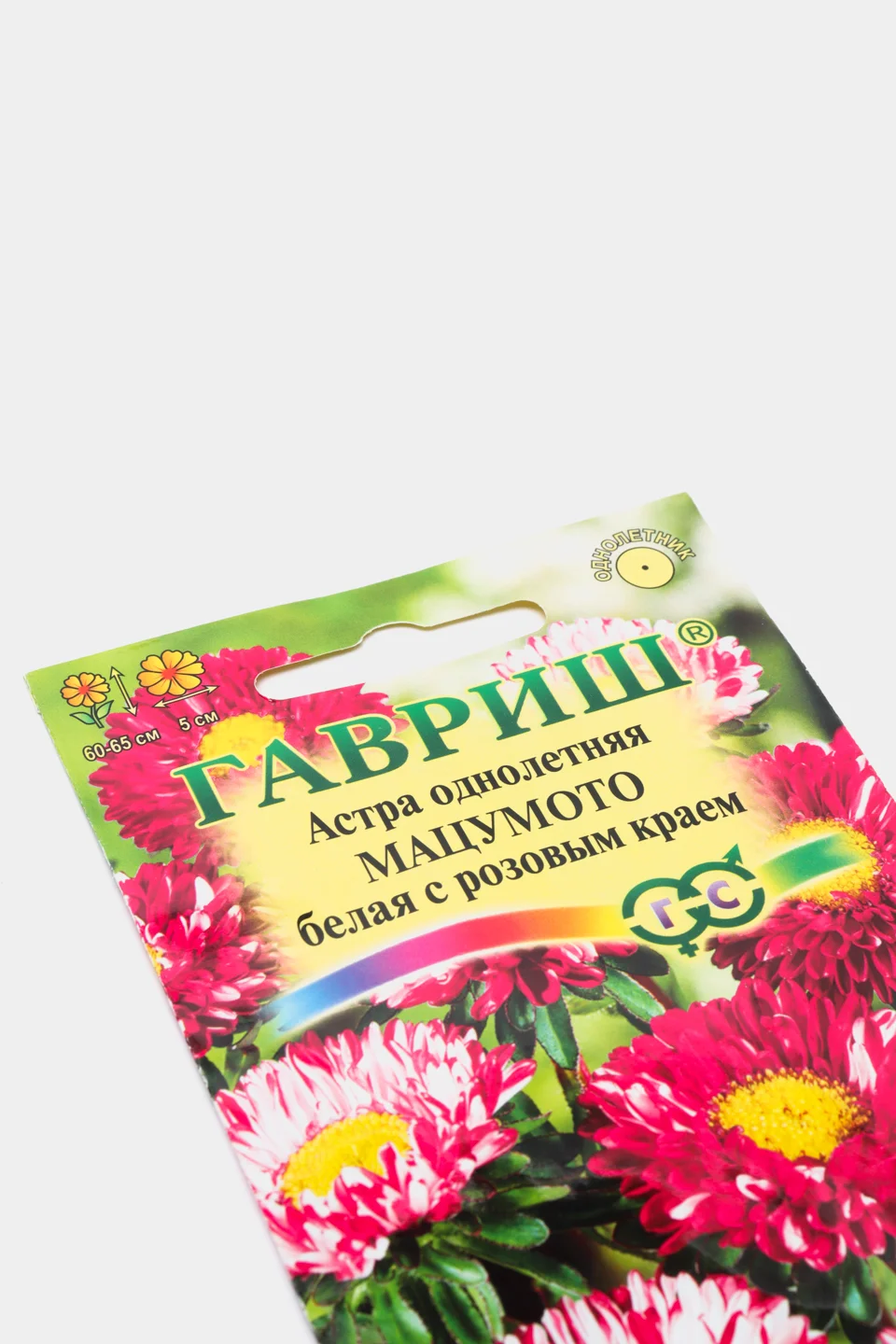 Астра "Мацумото" белая с розовым краем, семена, цветы
