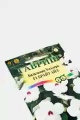 Бальзамин Брайт айз (семена,цветы)
