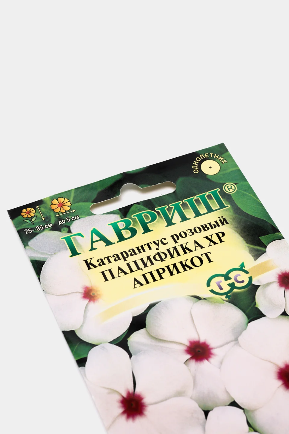 Катарантус Пацифика априкот розовый (семена,цветы)