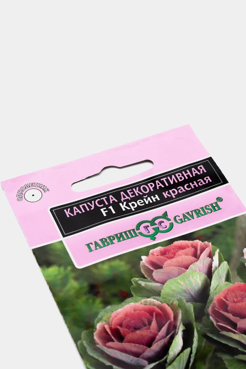 Капуста декоративная Крейн красная (семена,цветы)