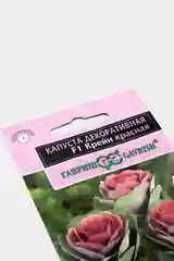 Капуста декоративная Крейн красная (семена,цветы)