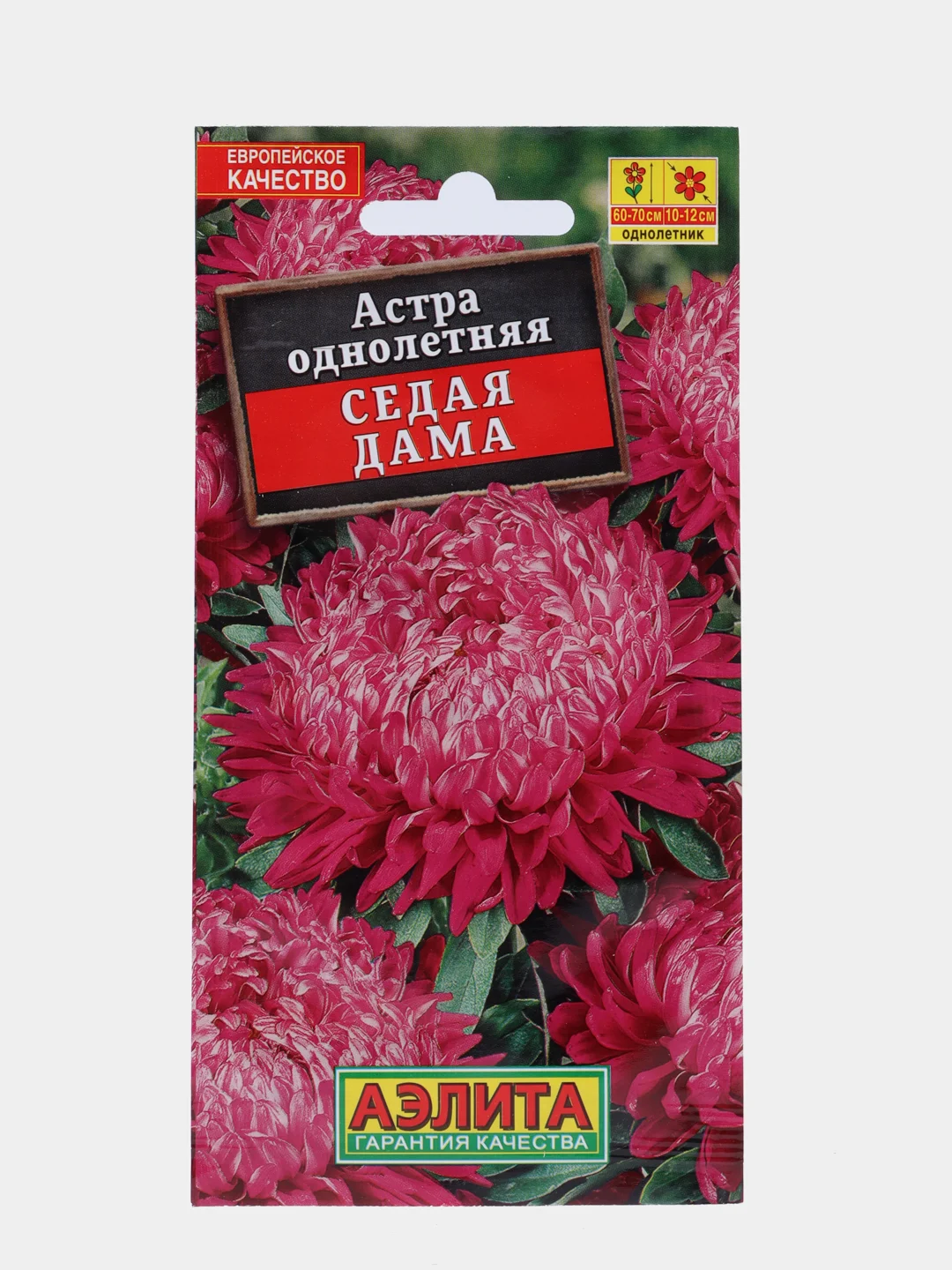 Астра Седая Дама