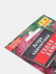 Цветы астра Седая Дама (семена)
