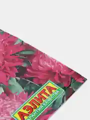 Цветы астра Седая Дама (семена)