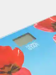 Весы напольные электронные Homestar HS-6001I, стеклянная поверхность, 180 кг