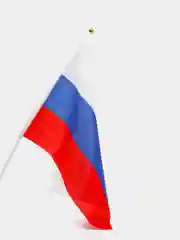 Флаг России, 30*45 см