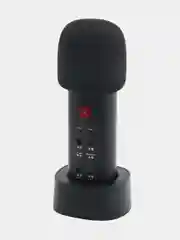 Колонка-микрофон Joyroom K Series JR-K2 Live Microphone, 1200 mAh