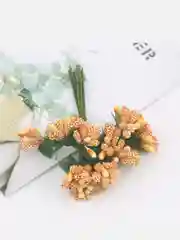 Манго тычинки сахарные для цветов