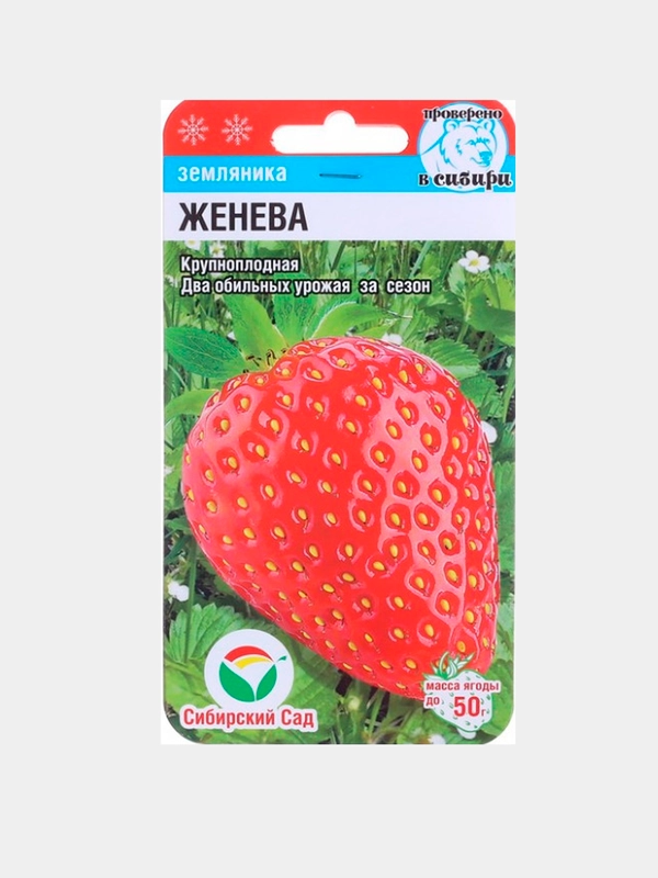 Земляника "Женева", семена