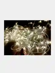 Гирлянда светодиодная, 10 метров, 100 Led, 220В, 8 режимов