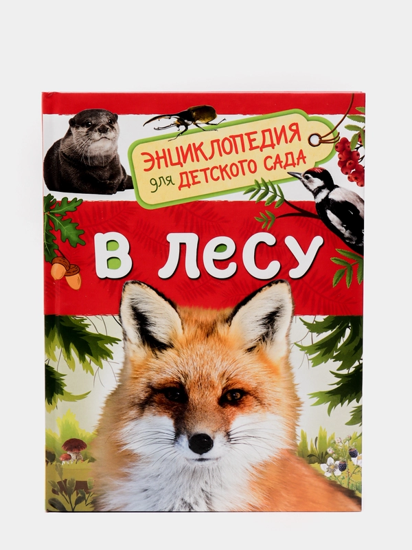 Энциклопедия "В лесу"