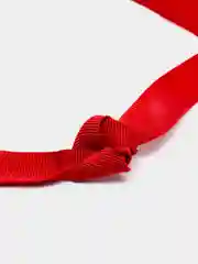 Лента для бейджа, ширина-16 мм, длина-90 см, с двойным металлическим карабином, красная