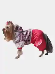 Комбинезон зимний, для собак, на девочку, XS