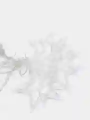 Конфетный светодиодная LED гирлянда-занавес Звезды