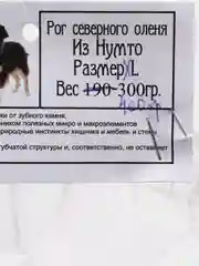 2 рога Лося по 16-18 см, для крупных и средних пород собак, 170-210 гр