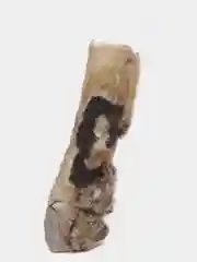 2 рога Лося по 16-18 см, для крупных и средних пород собак, 170-210 гр