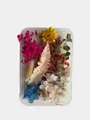 Красный сухоцветы в коробе, 17 х 12 х 3 см