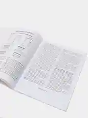 Фонетические диктанты. Тренажёр по звукобуквенному анализу и синтезу: Рабочая тетрадь