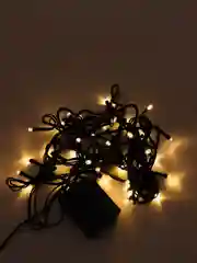 Гирлянда 230V, 40 LED, 4 м, 2700K