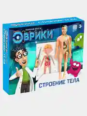 Набор для опытов детский "Строение тела", +3