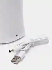 Лампа электрическая настольная ENERGY EN-LED32 366059
