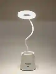Лампа электрическая настольная ENERGY EN-LED32 366059