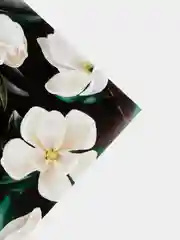 Тёмно-зелёный упаковочная глянцевая бумага для подарков "Магнолия" и "Розы", 70 х 100 см