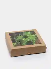 Лайм подарочная коробка, бумажный наполнитель