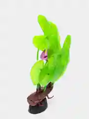 Растение для аквариума Plant 013 Лилия зеленая с цветком, высота 10 см