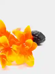 Растение для аквариума Plant 011 Людвигия оранжевая, высота 10 см