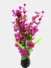 Растение для аквариума Plant 025 Бакопа Красная