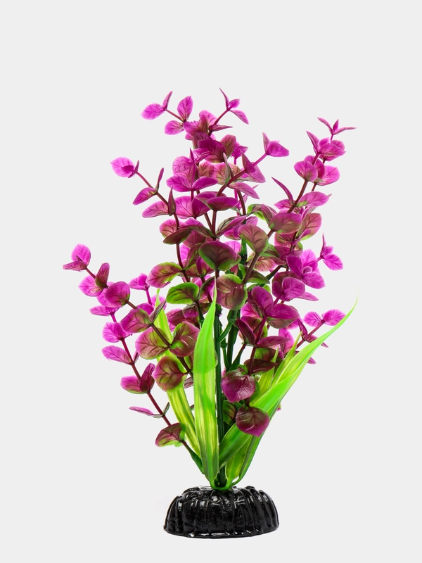 Растение для аквариума Plant 025 Бакопа Красная