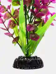 Растение для аквариума Plant 025 Бакопа Красная