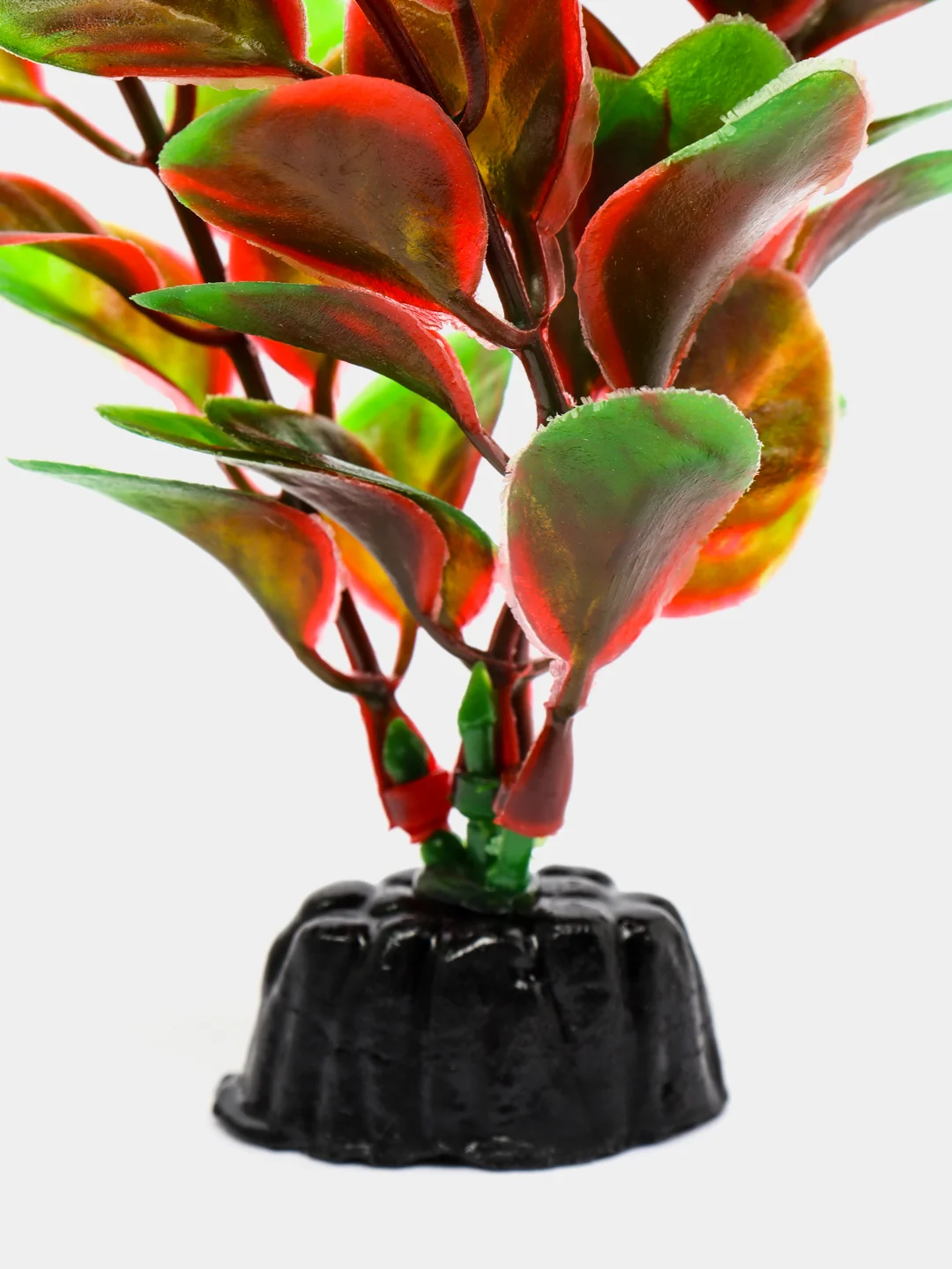 Растение для аквариума Plant 006 Людвигия красная